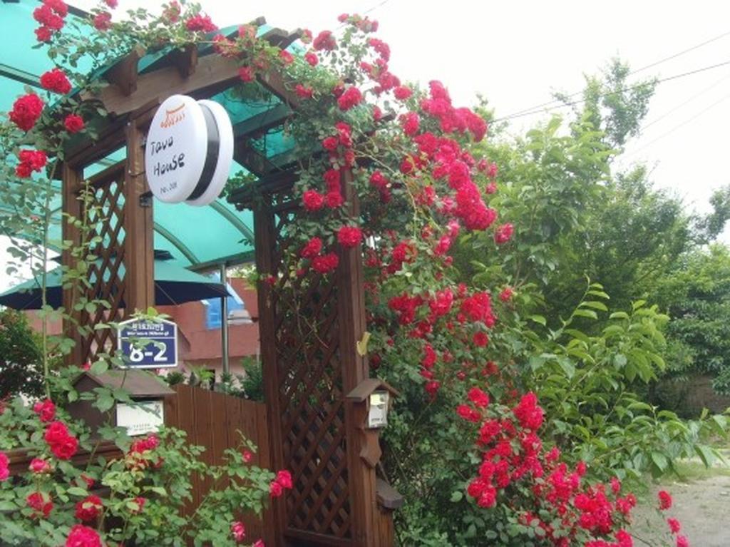 فندق Tavo House كَونتو المظهر الخارجي الصورة